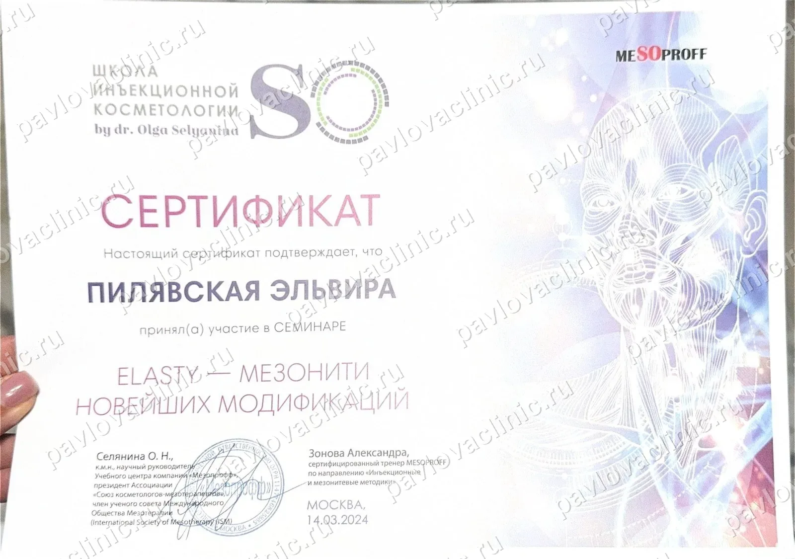 Сертификат ELASTY — мезонити новейших модификаций